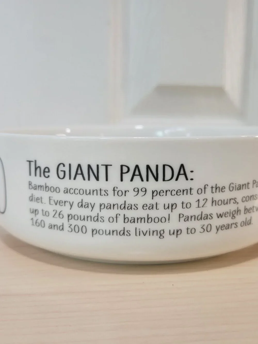 Honest Goods Pair of Bamboo 3D Ceramic Panda 6.5